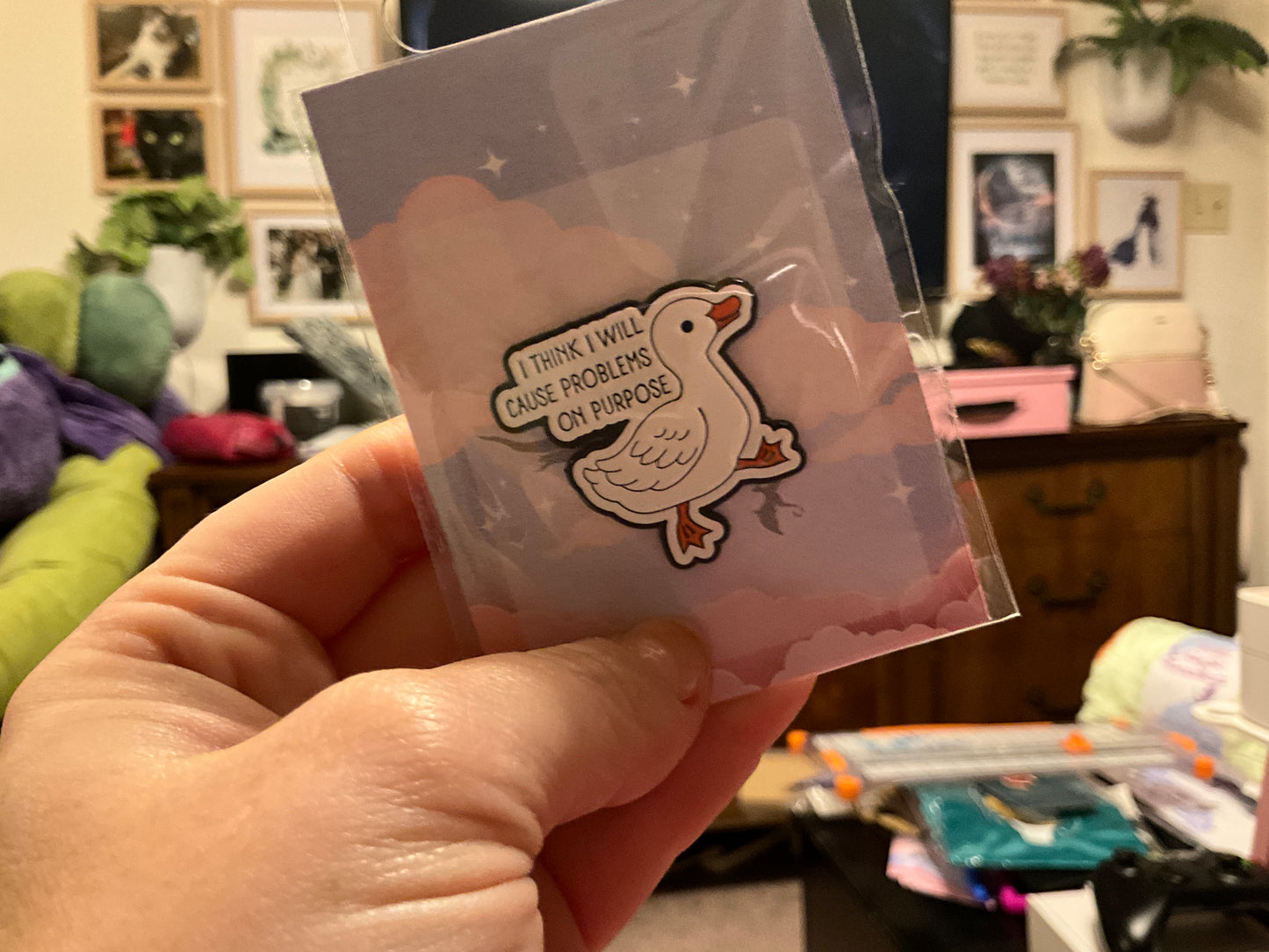 Problem Duck Pin
